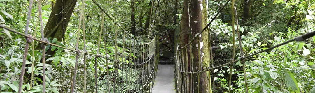 Der grüne Vulkankessel